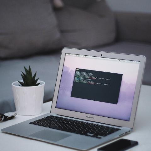 MacBook Air beside green leaf