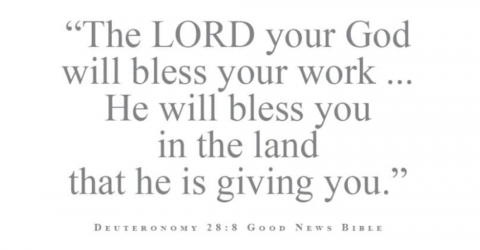 Deuteronomy 28:8 Good News Bible